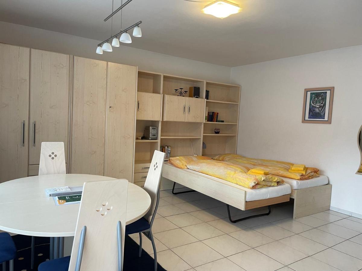 Muralto-Locarno: Miramonti Apt. 4 Εξωτερικό φωτογραφία