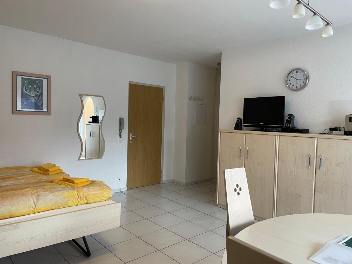 Muralto-Locarno: Miramonti Apt. 4 Εξωτερικό φωτογραφία
